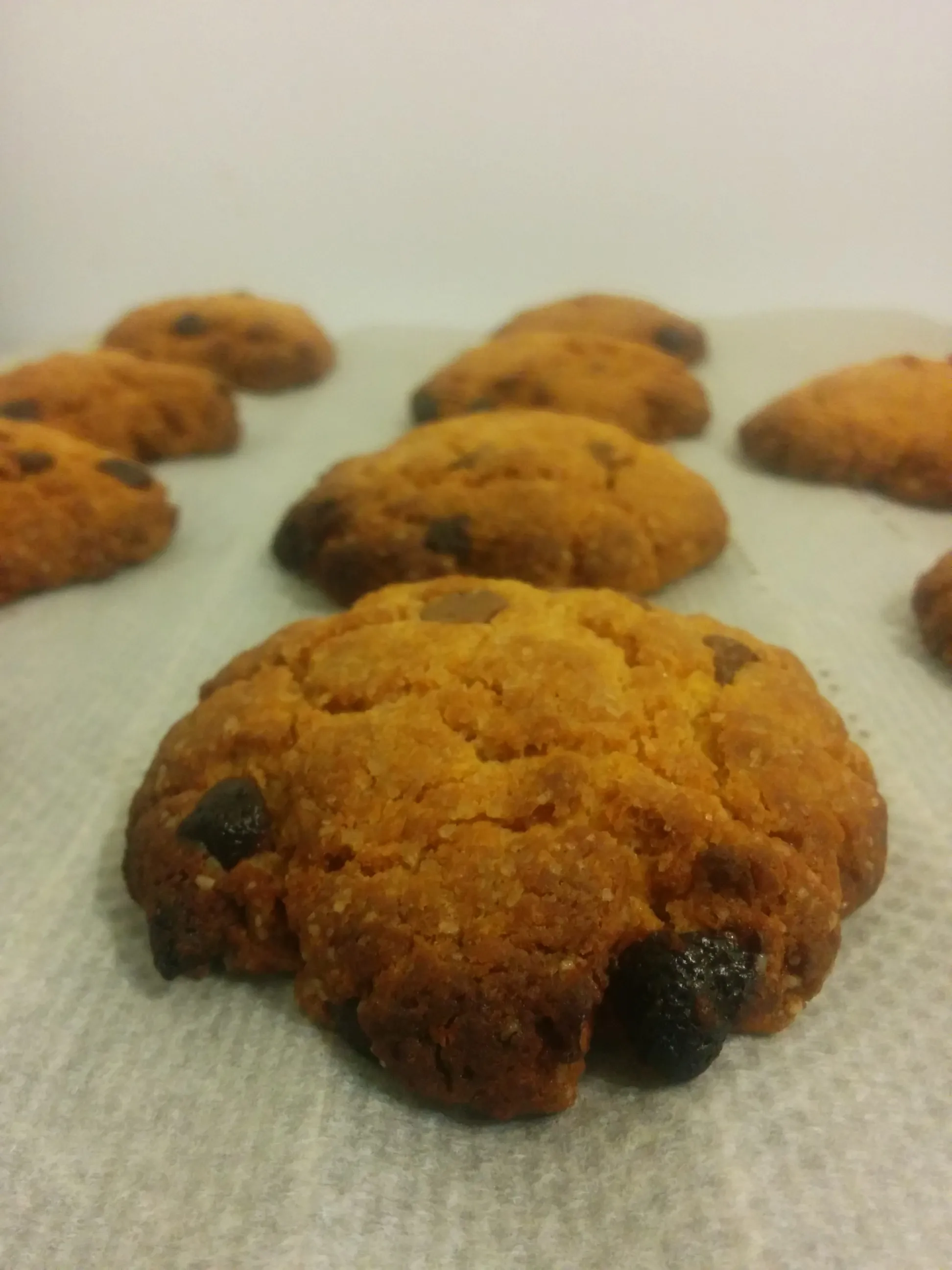 cookie.jpg